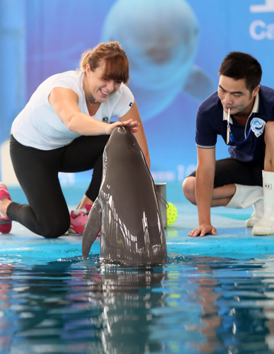 场球员排行 场球员排行