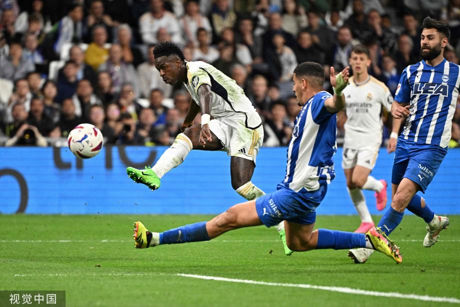 中森林狼总 中森林狼总