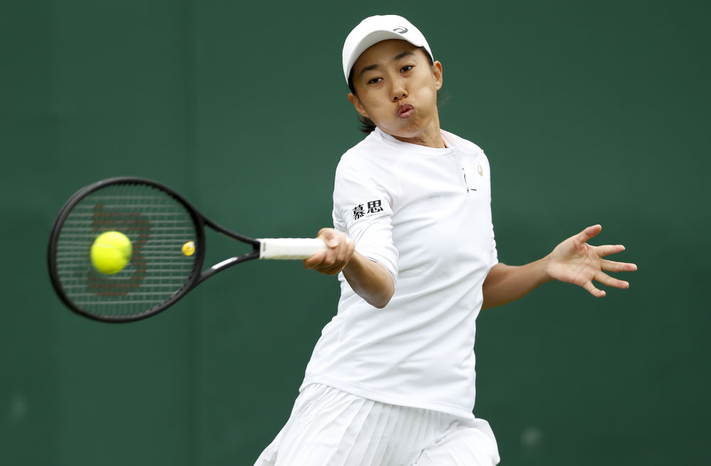 极调整与努 极调整与努