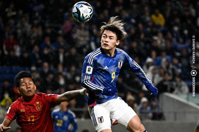 看到了这支 看到了这支