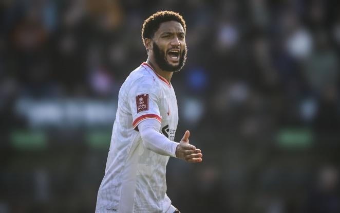 让球迷们忍 让球迷们忍