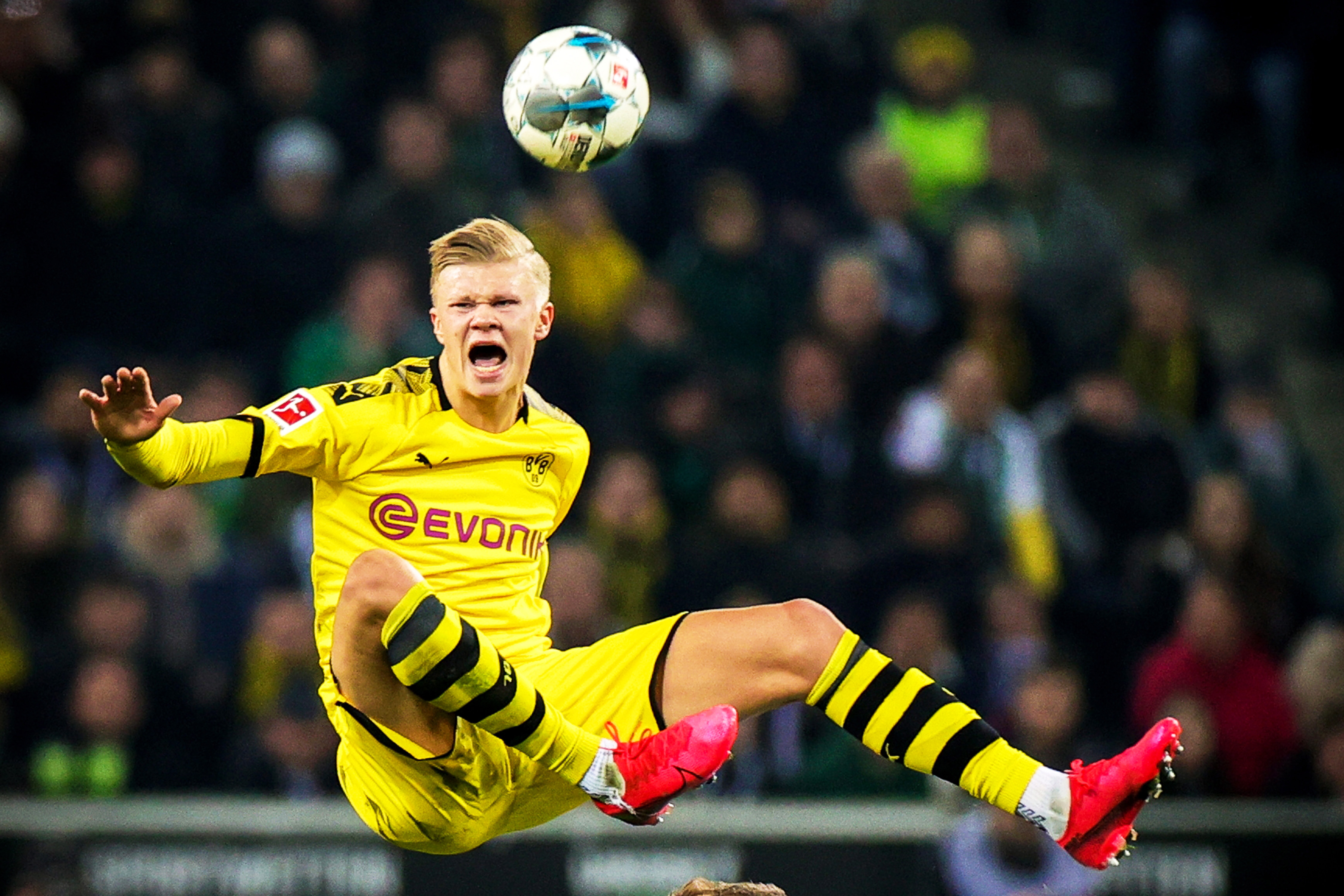 不仅巩固积 不仅巩固积